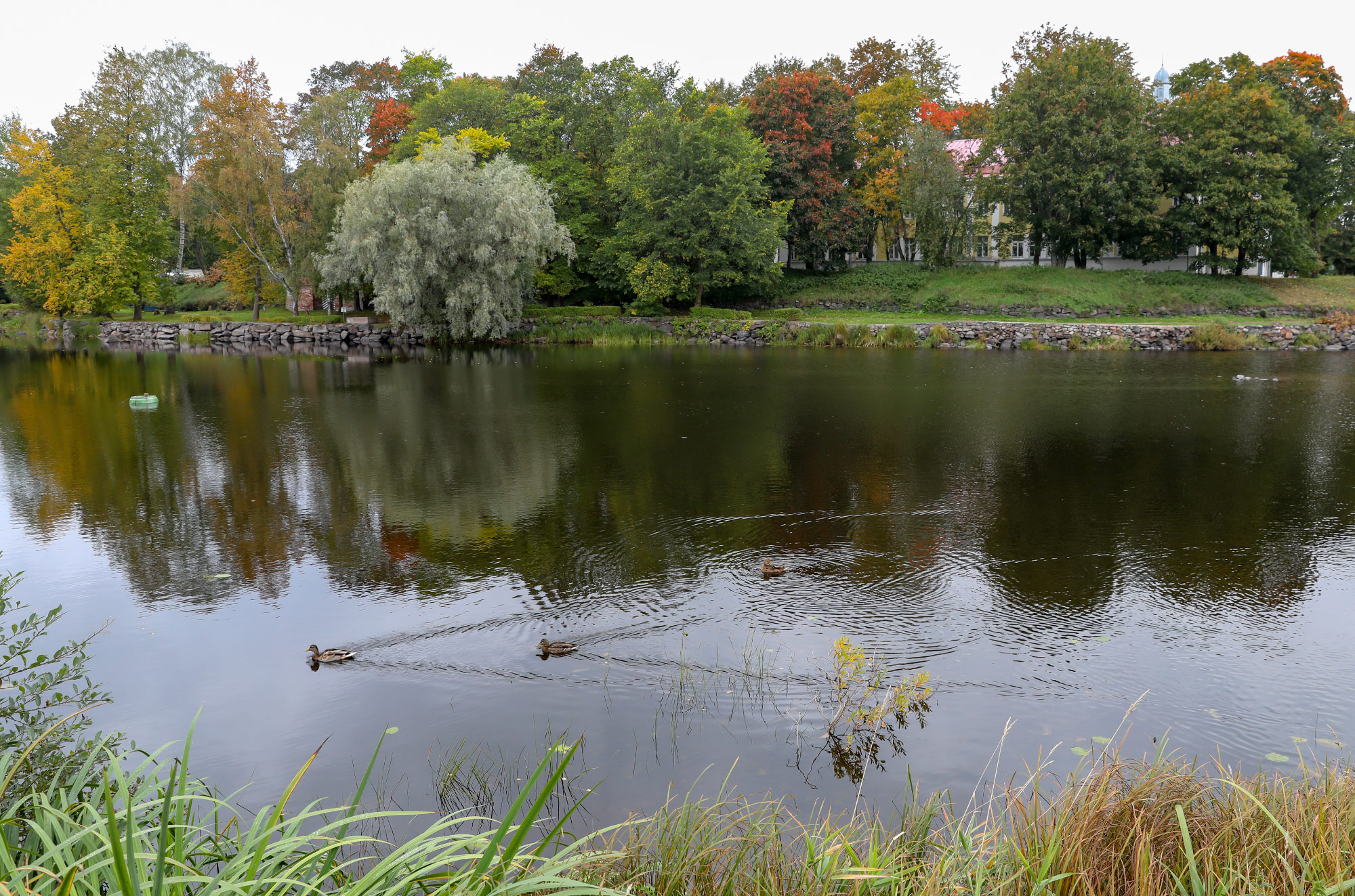 Priozersk (Приозёрск, Корела, Kexholm, Käkisalmi)